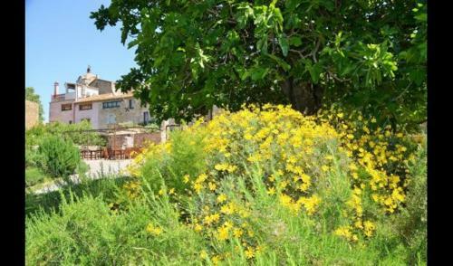 Villa In La Bisbal Sleeps 4 With Pool