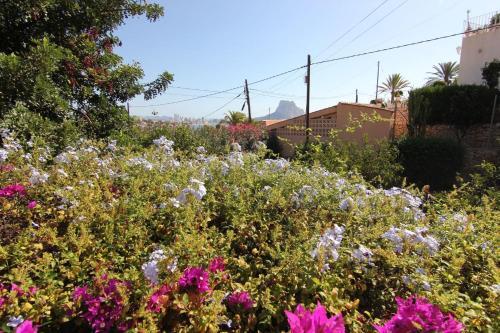 Maryvilla 0140