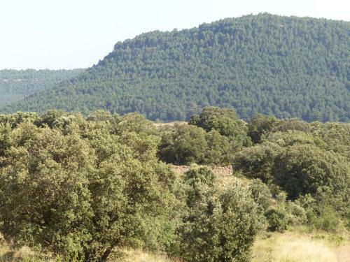 Molino Dolz