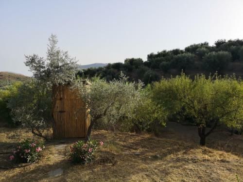 Armonia Alpujarra Eco Accommodation