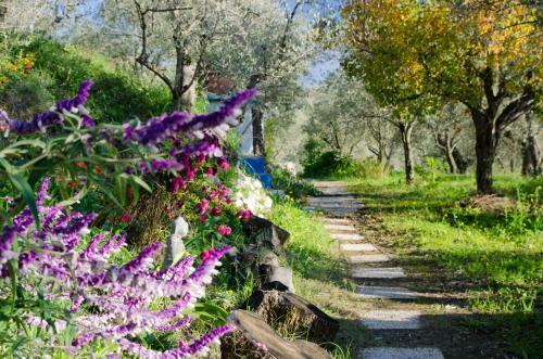 Armonia Alpujarra Eco Accommodation