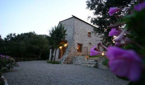 Les Planes D'hostoles Villa Sleeps 14 With Pool