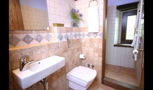 Les Planes D'hostoles Villa Sleeps 14 With Pool