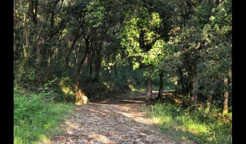 Les Planes D'hostoles Villa Sleeps 6