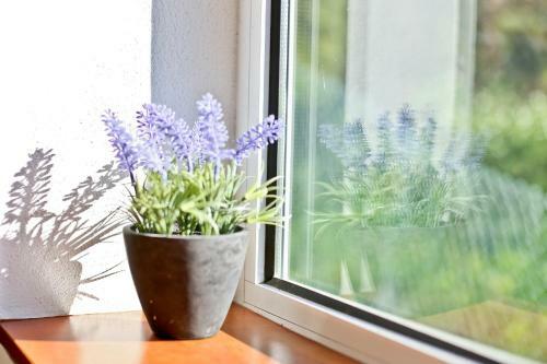 Hostal Morada Do Sol - Cascais Guincho Villas