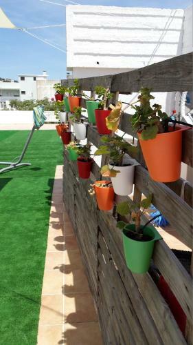 Loule Coreto Hostel