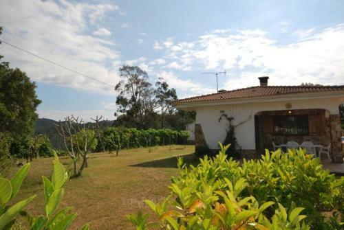 Club Villamar - Fleur