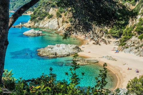 Al25 Apartamento Nuevo A 250 M de La Playa