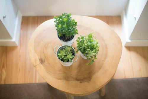 Apartamentos Santa Maria By Heart Of Funchal