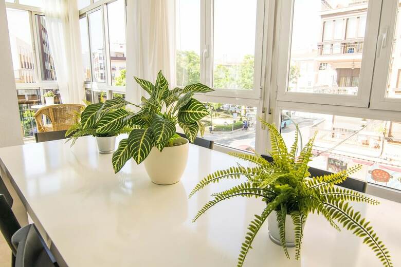 Apartamento Letmalaga Compas