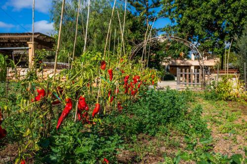 Apartamento Es Llorer de Sa Gruta Vella