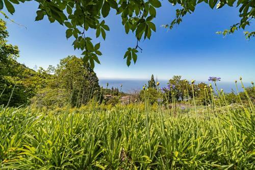 Agroturismo Quinta Devonia