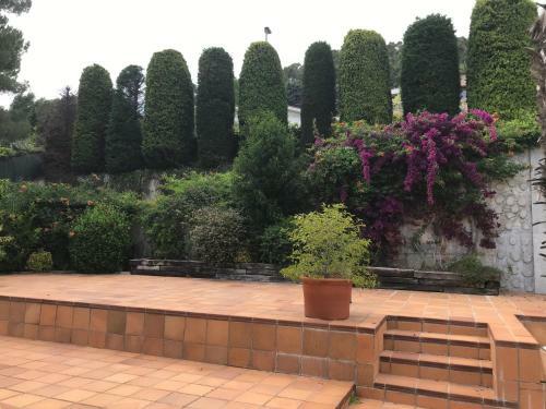 Suite Matadepera