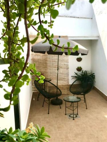 Apartamentos �lite Frida Kahlo