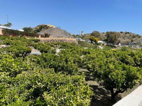 Apartamentos Huerta de La Ca�ada