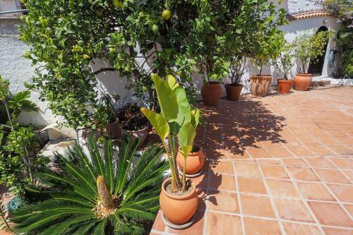 Villa Nerja Paradise Rentals - Casa Del Barranco