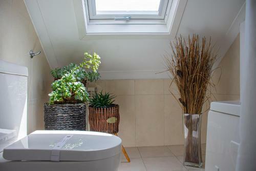Bed & Breakfast O'porto Seven - Guest House