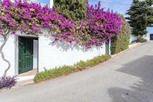 Villa Capistrano