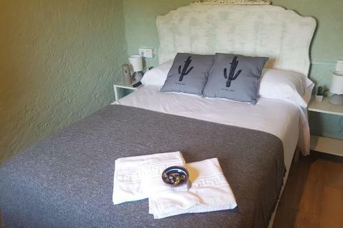 Agroturismo Mas Els Plans -turisme - Dog Friendly