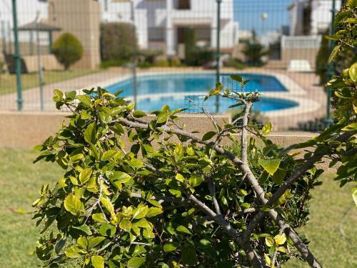 La Ci�uelica R15 1st Floor Apartment Com Pool L164