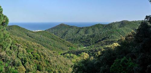 Apartamento Costa Brava Pineda