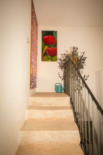 Agroturismo Cal Manyo