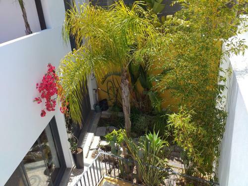 Hostal Calcada Guesthouse