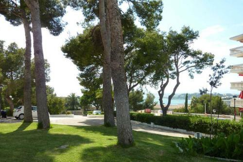 Apartamento Synergie Si01 - Cye