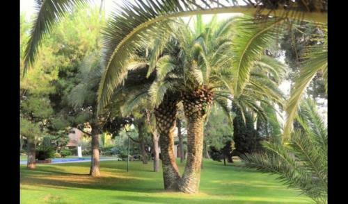 Santa Oliva Villa Sleeps 18 With Pool And Air Con