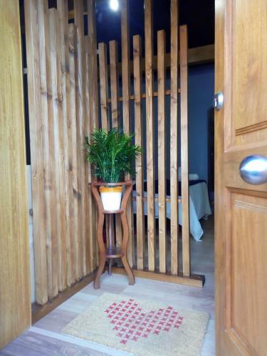 Apartamento Canarian House Antigua Escuela