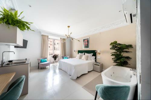 Real Segovia Apartments
