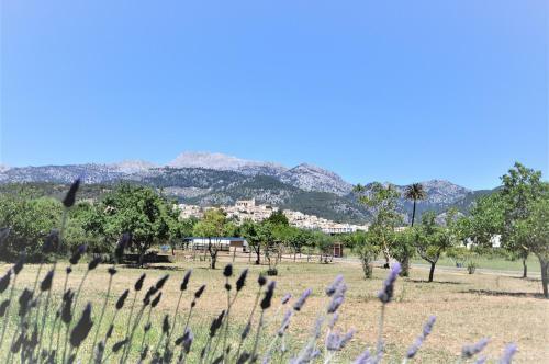 Finca Son Rubi