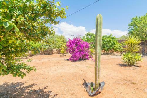 Villa Can Tomeu (Ses Salines)