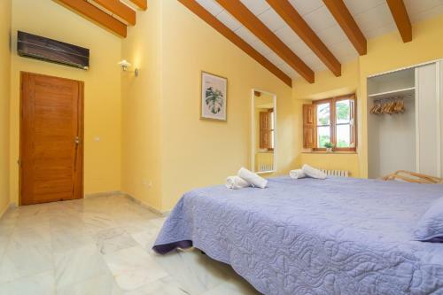 Villa Finca Palmera