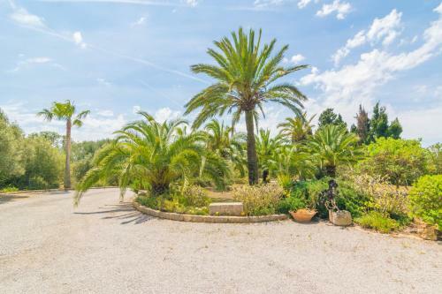 Villa Finca Palmera