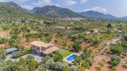 Finca Mestre