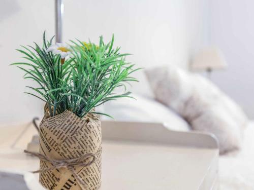 Apartamento Maria Coronel