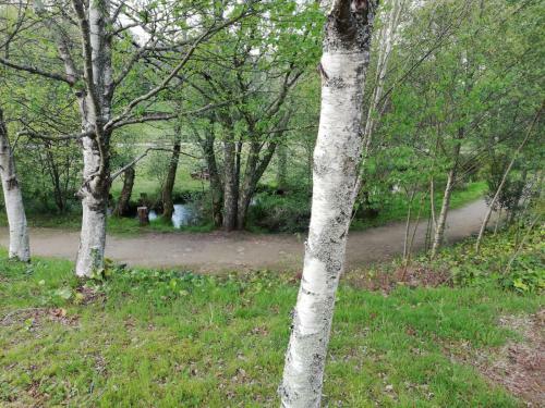 Apartamento Sig�eiro Camino Ingl�s (English Way)