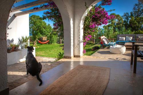 Albergue Wild House Tarifa