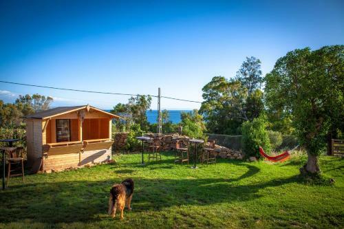 Albergue Wild House Tarifa
