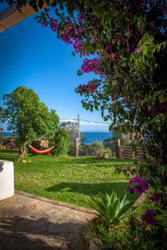 Albergue Wild House Tarifa