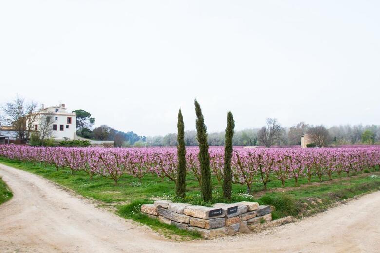 Hotel Rural Mas de L'illa