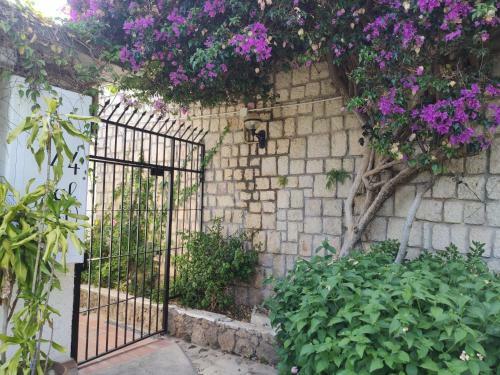 Apartamento Bungalow Torre de La Roca