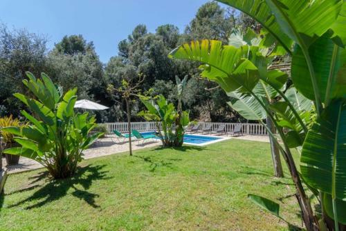 Club Villamar - Jamira