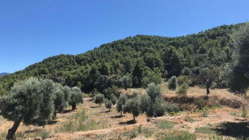 Agroturismo Masia Mas de La Creu