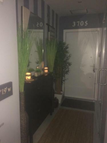 Apartamento Loft �tico Luxury Madrid