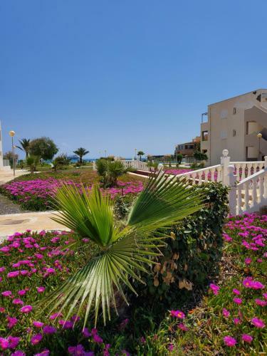 Apartamento Naturista En Primera L�nea!