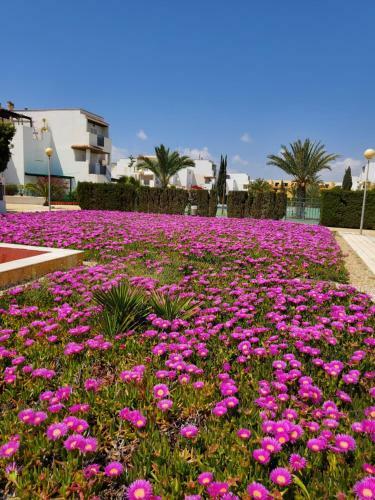 Apartamento Naturista En Primera L�nea!