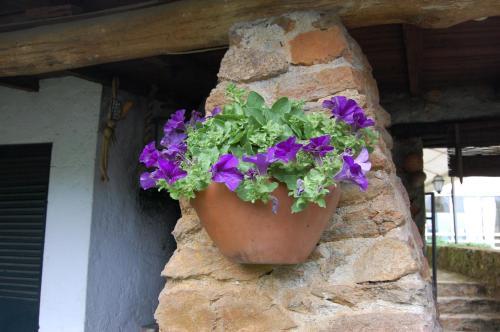 Hostal Casa Da Quinta De S. Martinho