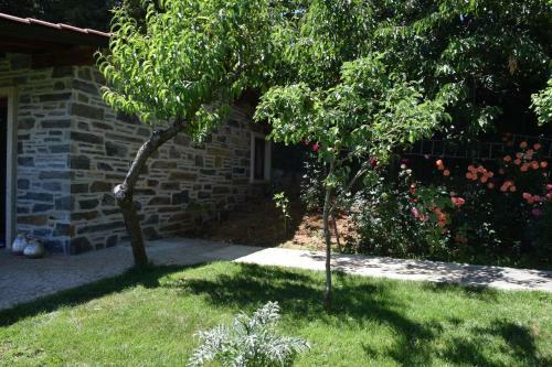 Hostal Quinta Da Boa Ventura